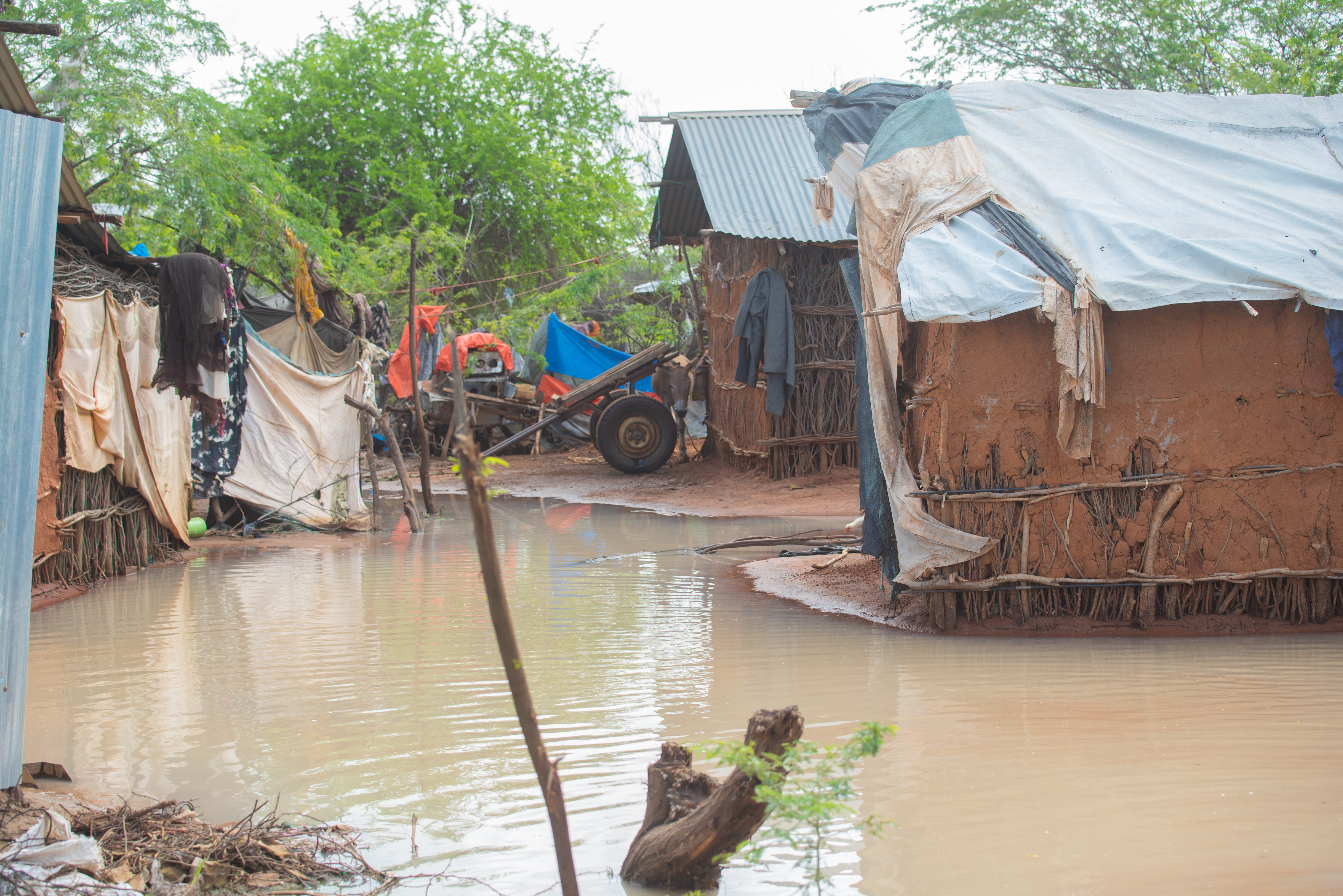 inundações em dadaab