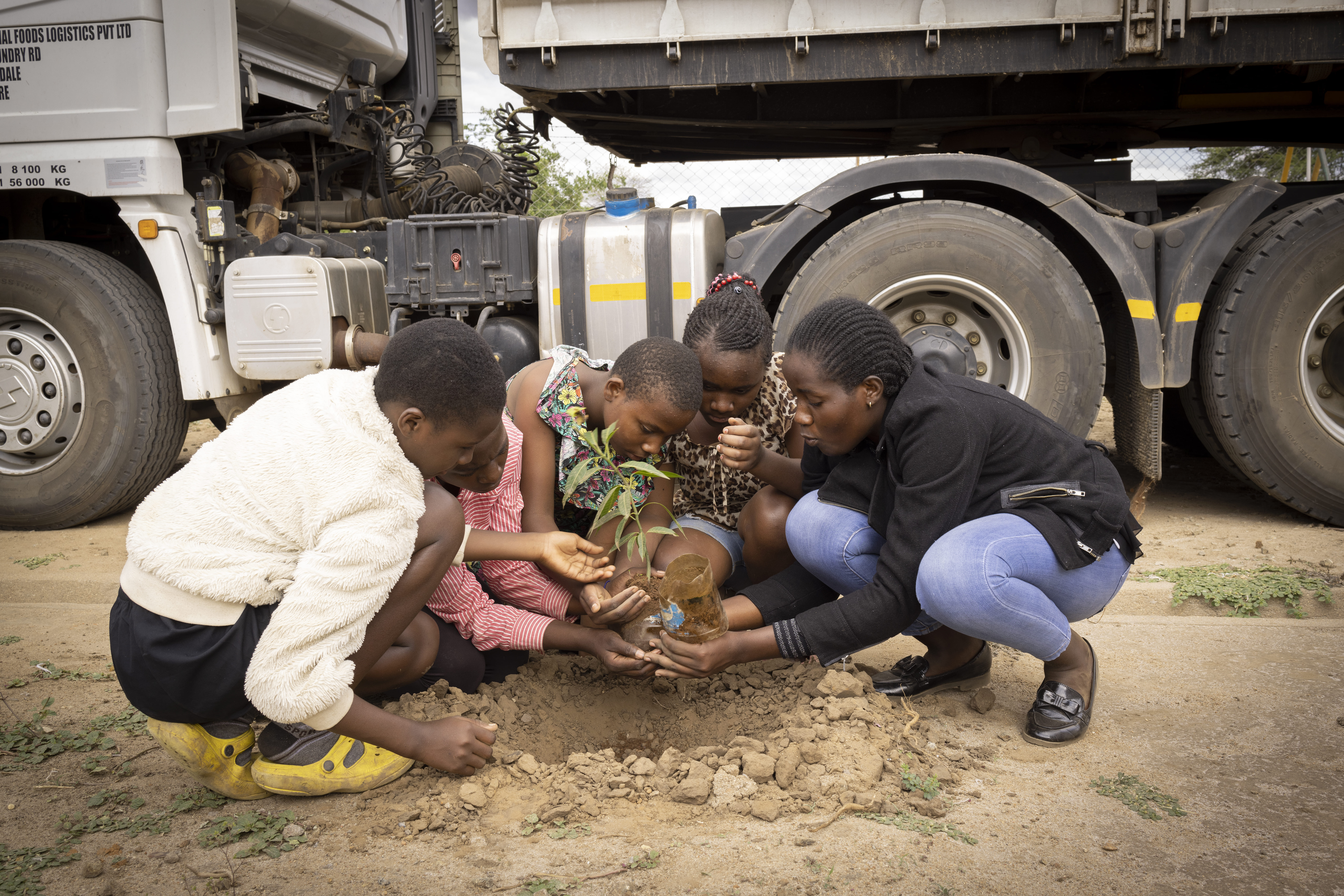 Jeanne Muhimundu (à direita) planta uma mangueira com crianças no campo de refugiados de Tongogara.