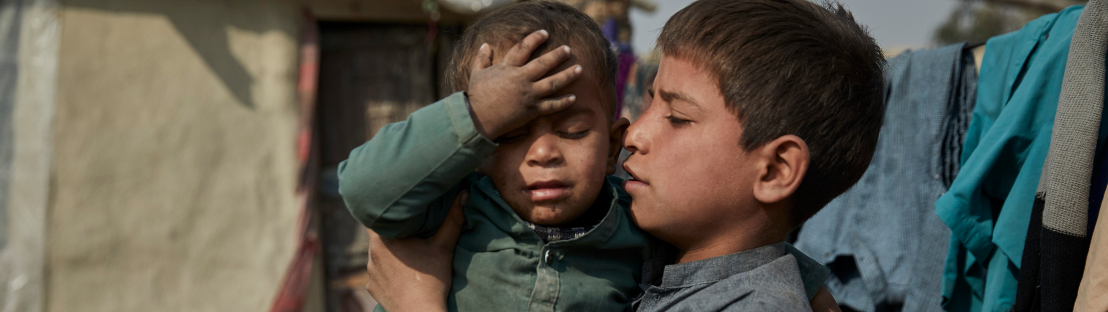  "Refugiados" Novembro 2024