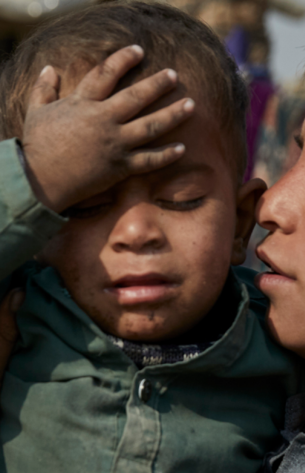  "Refugiados" Novembro 2024
