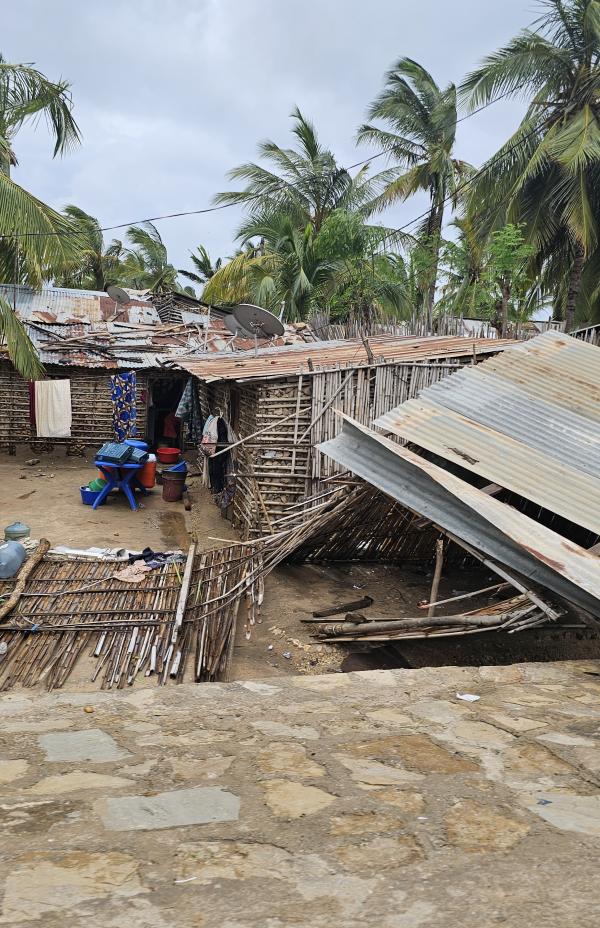 O ciclone Chido deixa um rasto de destruição em Moçambique e não só, deslocando milhares de pessoas