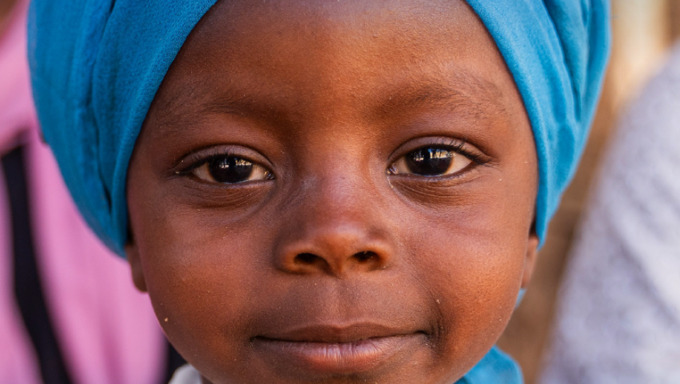 "Refugiados" Novembro 2025