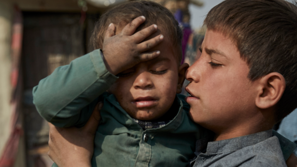  "Refugiados" Novembro 2024